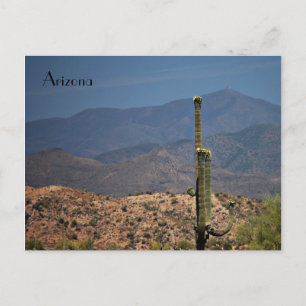 Postal Cartão da arizona