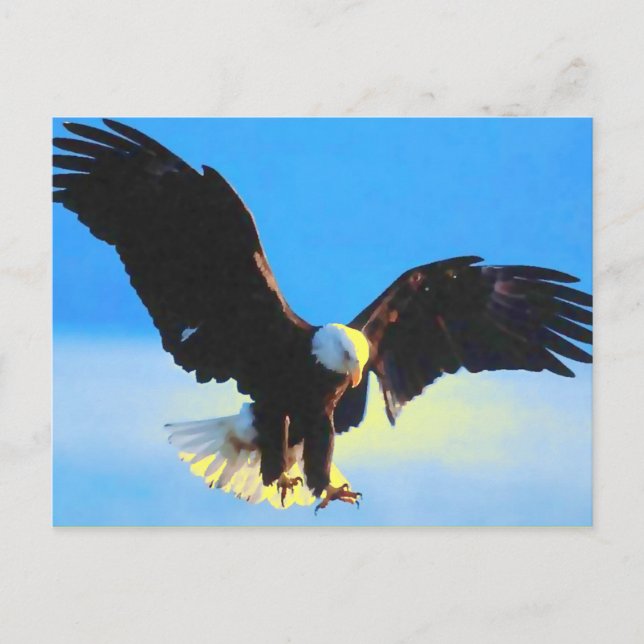 Postal Cartão da aterragem da águia americana (Frente)