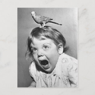 Postal Cartão da foto do vintage