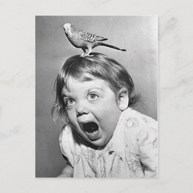 Postal Cartão da foto do vintage (Frente)