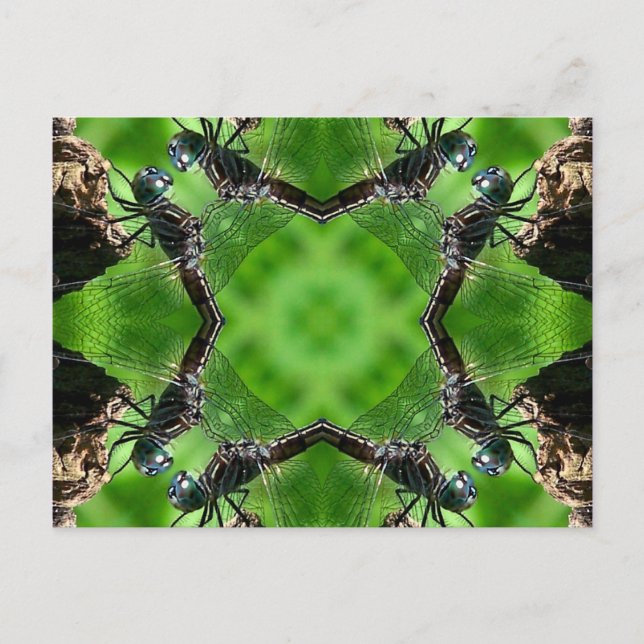 Postal Cartão da natureza da arte do caleidoscópio da (Frente)