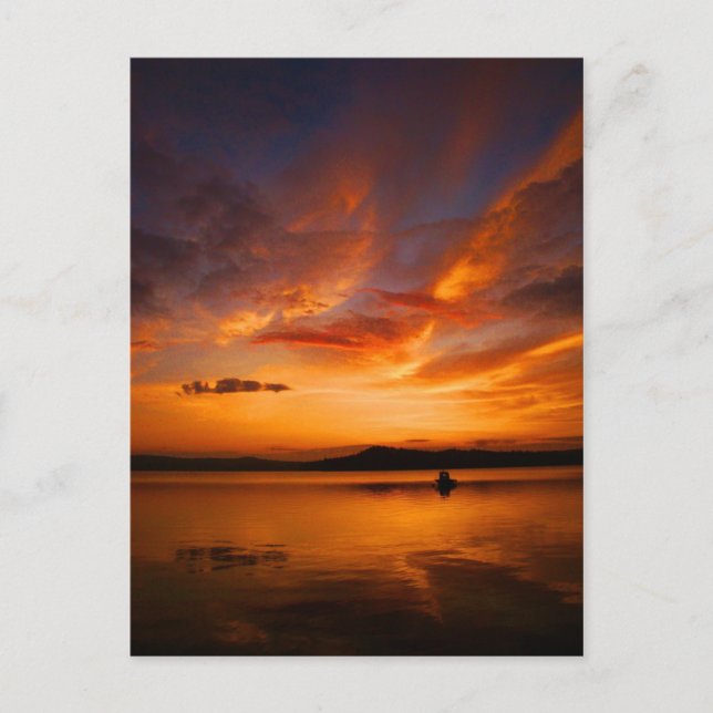 Postal Cartão da paleta das naturezas (Frente)