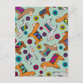 Postal Cartão das alpacas