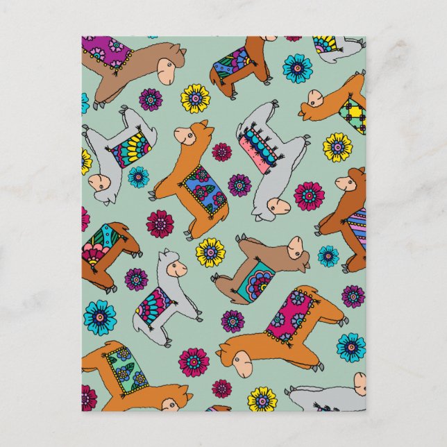 Postal Cartão das alpacas (Frente)