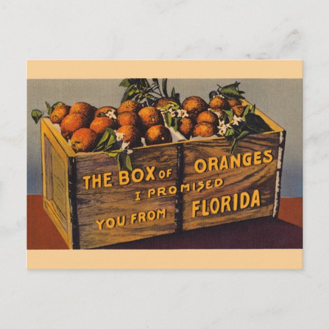 Postal Cartão das laranjas de Florida do vintage (Frente)