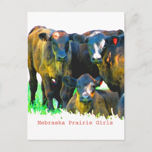 Postal Cartão das meninas da pradaria de Nebraska (Frente)