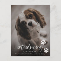 Cartão de adoção para cachorros ou cachorros, novo