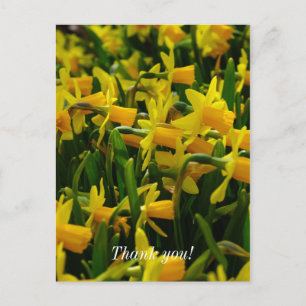 Postal Cartão de Agradecimento da Família Daffodil