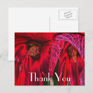 Postal Cartão de agradecimento de hibisco vermelho abstra