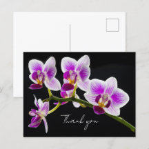 Cartão de Agradecimento de Orquídea Branca e Roxa