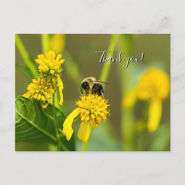 Postal Cartão de agradecimento do Bumblebee (Frente)