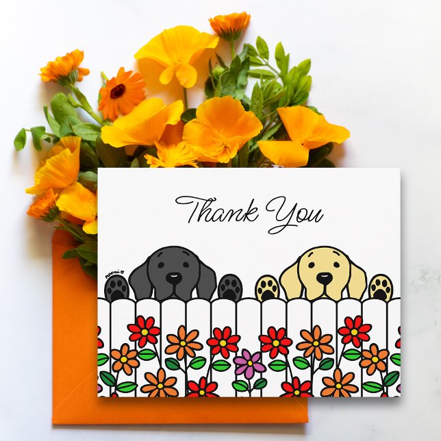 Postal Cartão de agradecimento do Duo Labrador Observando (Labrador Duo Watching You Thank You Postcard for Labrador Owners.  Black Lab and Yellow Lab design.)