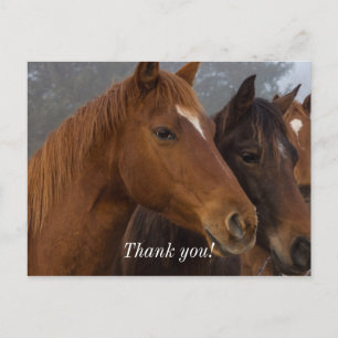 Postal Cartão de Agradecimento dos Trigêmeos Cavalos