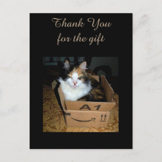 Postal Cartão de agradecimento engraçado do gato Calico n