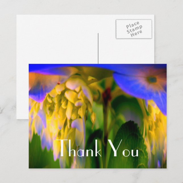 Postal Cartão de Agradecimento Floral Abstrato Hortênsia  (Frente/Verso)