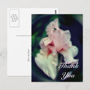 Postal Cartão de Agradecimento Floral Abstrato Íris Rosa
