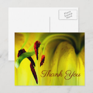 Postal Cartão de agradecimento floral abstrato lírio amar