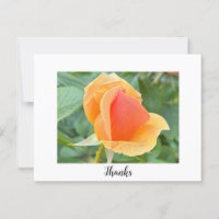 Cartão de agradecimento Rosebud