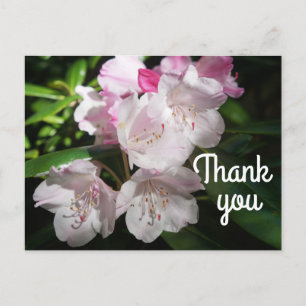 Postal Cartão de agradecimento Sakura Flor de Cerejeira #