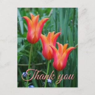 Postal Cartão de agradecimento Tulipas