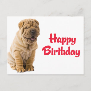 Postal Cartão de Aniversário Cachorrinho Shar Pei Chinês