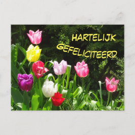 Postal Cartão de Aniversário Colorido de Tulipas Feliz An
