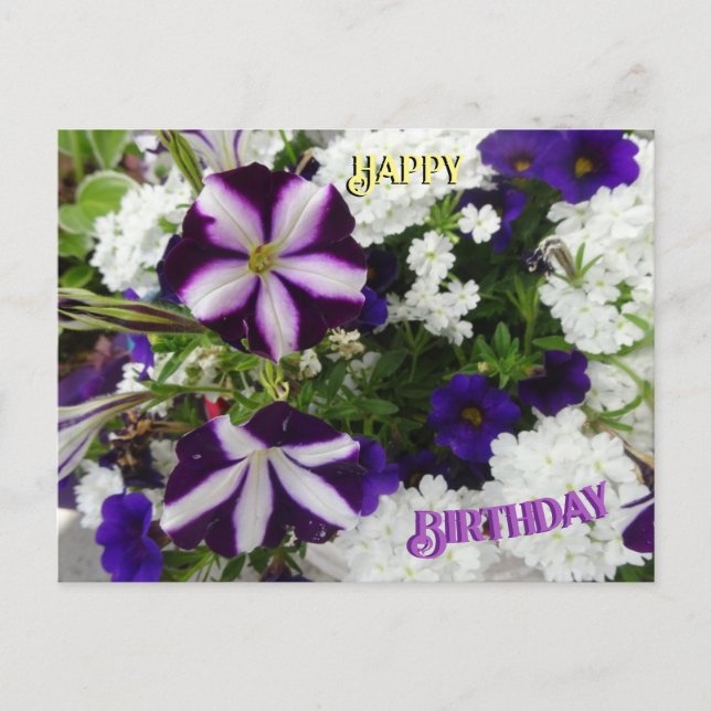 Postal Cartão de Aniversário com Flores Brancas Azuis Rox (Frente)