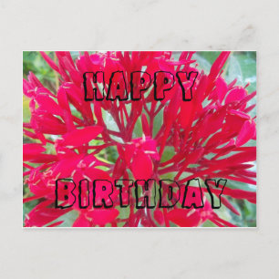 Postal Cartão de Aniversário com lindas flores vermelhas