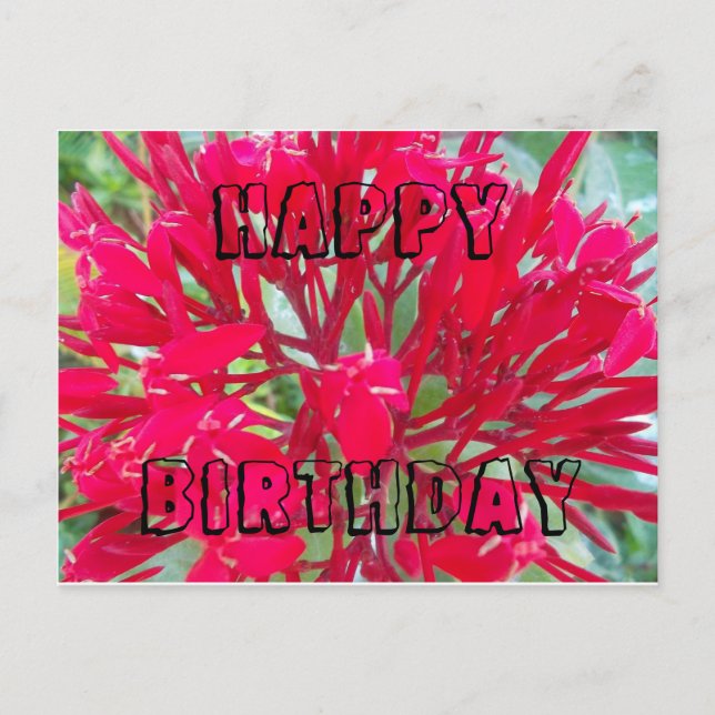Postal Cartão de Aniversário com lindas flores vermelhas (Frente)
