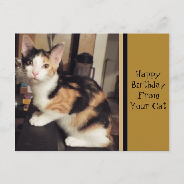 Postal Cartão de Aniversário Da Sua Gata (Frente)