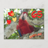Cartão de Aniversário de 65 anos do Papagaio Verme
