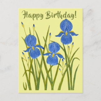 Postal Cartão de Aniversário de Flores de Íris