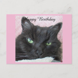 Postal Cartão de Aniversário de Gato Preto