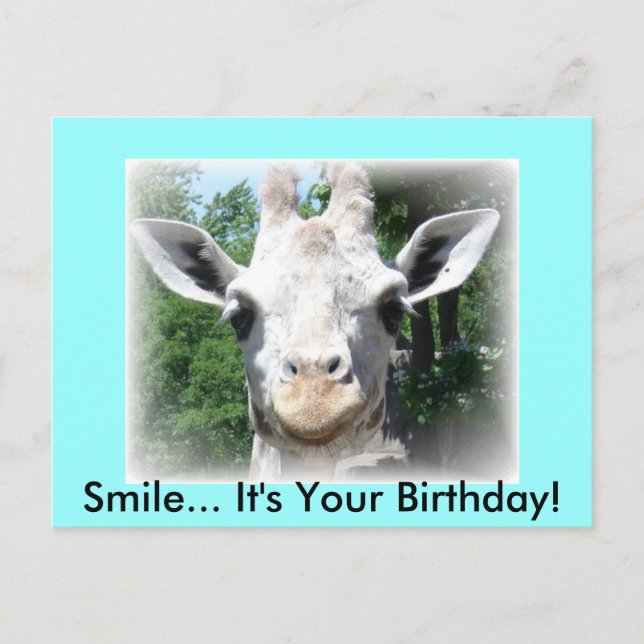 Postal Cartão de Aniversário de Girafa (Frente)