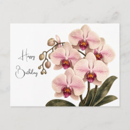 Postal cartão de aniversário de orquídea