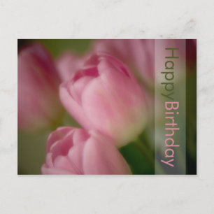 Postal Cartão de Aniversário de Tulipas Rosa