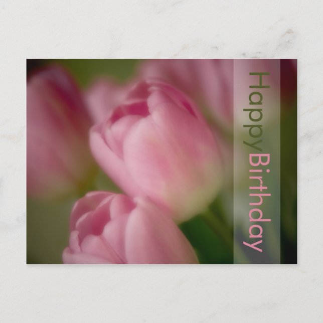 Postal Cartão de Aniversário de Tulipas Rosa (Frente)