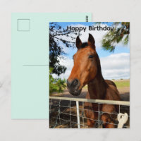 Cartão de Aniversário do Cavalo Castanho Tulip