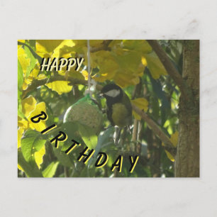 Postal Cartão de Aniversário do Passarinho Comilão