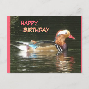 Postal Cartão de Aniversário do Pato Mandarim Feliz