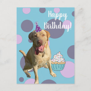 Postal Cartão de Aniversário Dudley Labrador