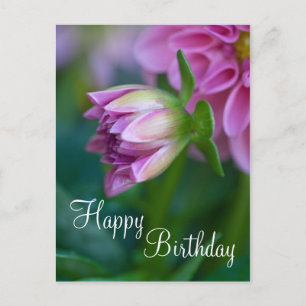 Postal Cartão de Aniversário Feliz