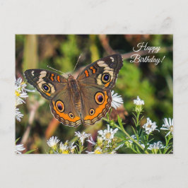Postal Cartão de Aniversário Feliz de Buckeye Butterfly