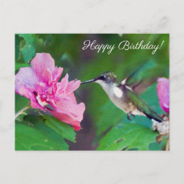 Postal Cartão de Aniversário Feliz do Hummingbird Throby