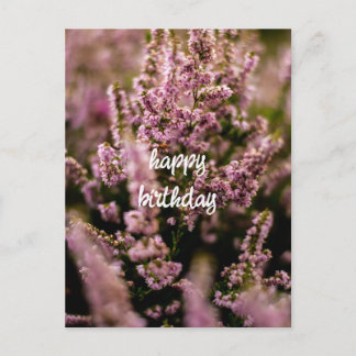 Postal Cartão de Aniversário Fotografia Flores Heather
