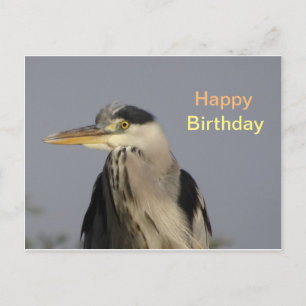 Postal Cartão de Aniversário Garça Cinzenta