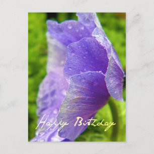 Postal Cartão de Aniversário Natureza Elegante