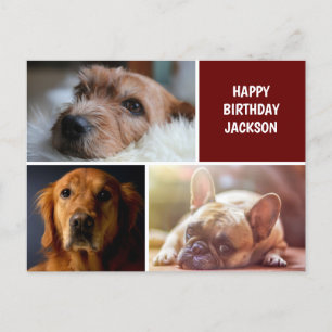 Postal Cartão de Aniversário Personalizado de Colagem de
