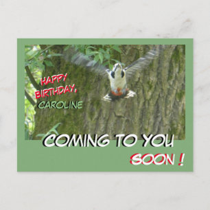 Postal Cartão de Aniversário Pica-Pau Voador Aproximando-