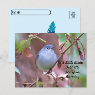 Postal Cartão de Aniversário Postcrossing Little Birdie